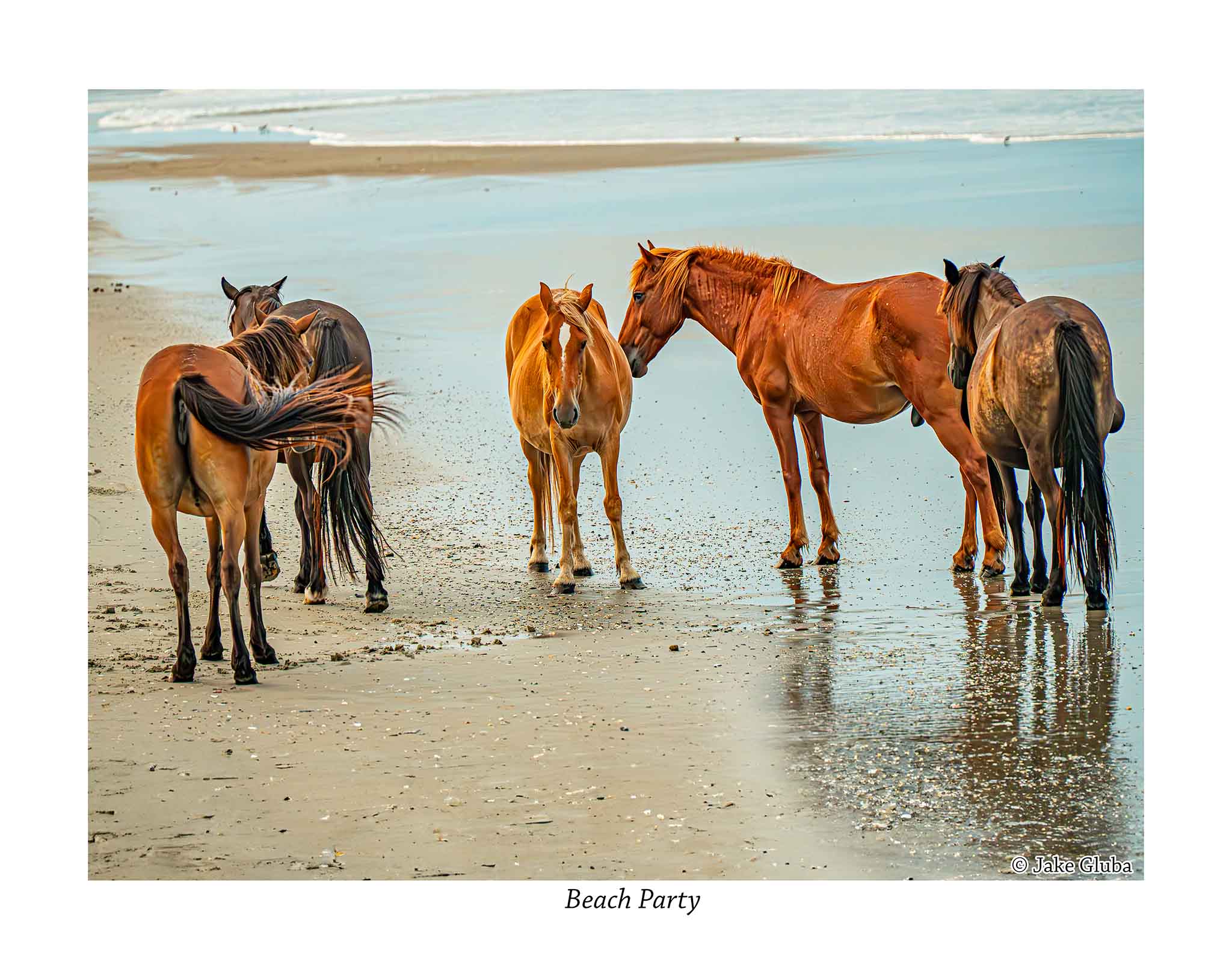 Beach Party