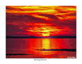 Burning Horizon