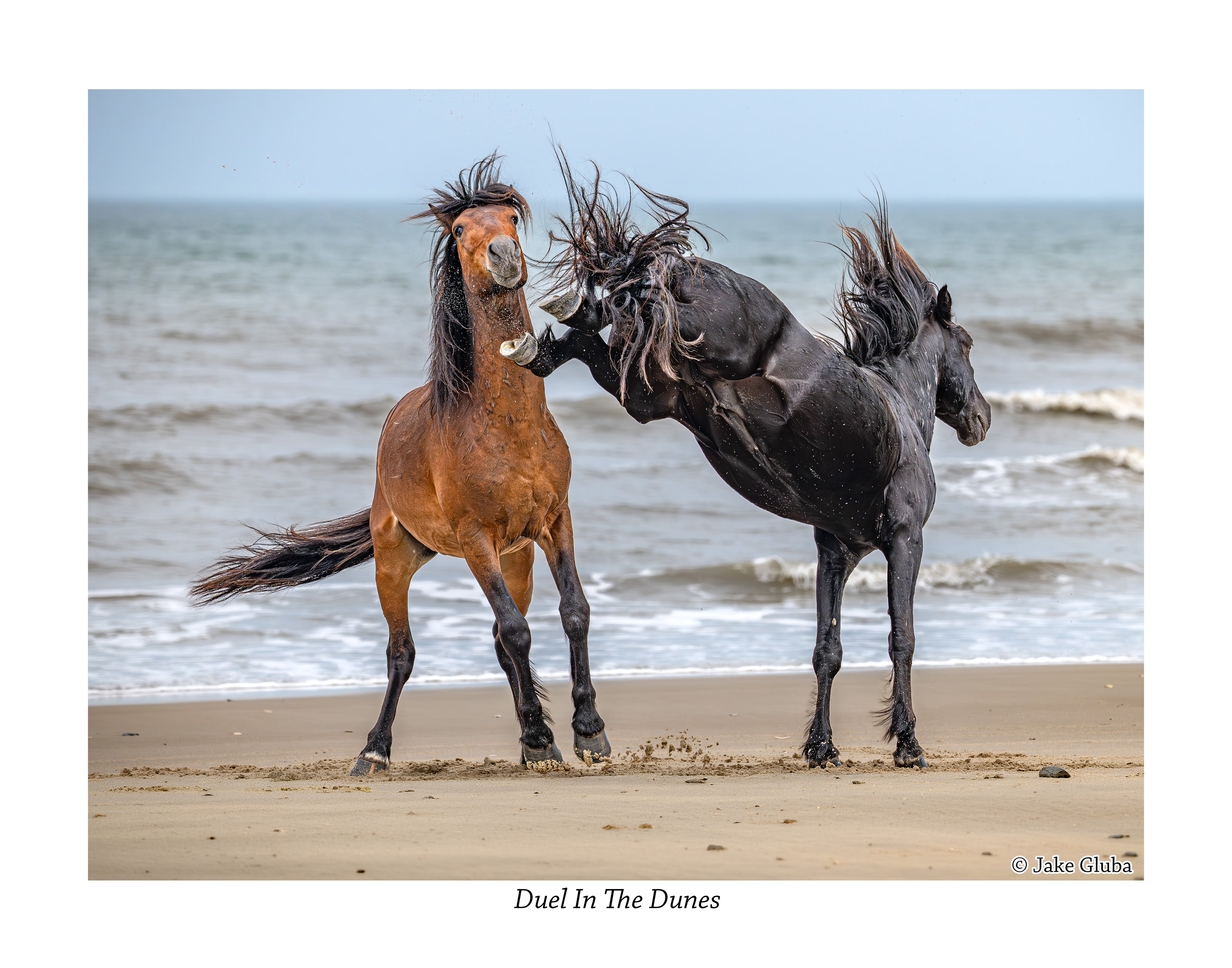 Duel In The Dunes