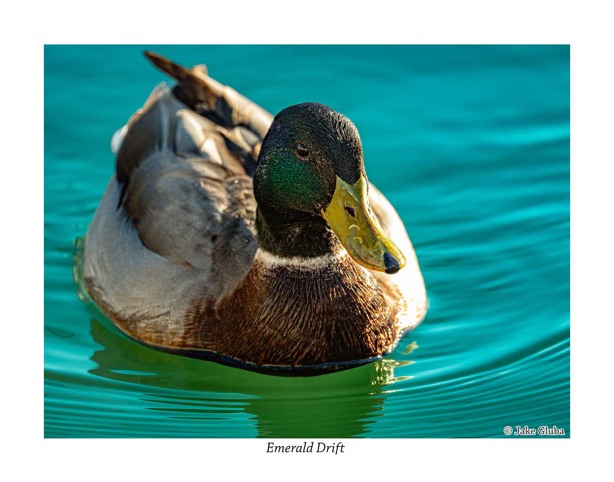 Emerald Drift