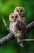 Eyes On You