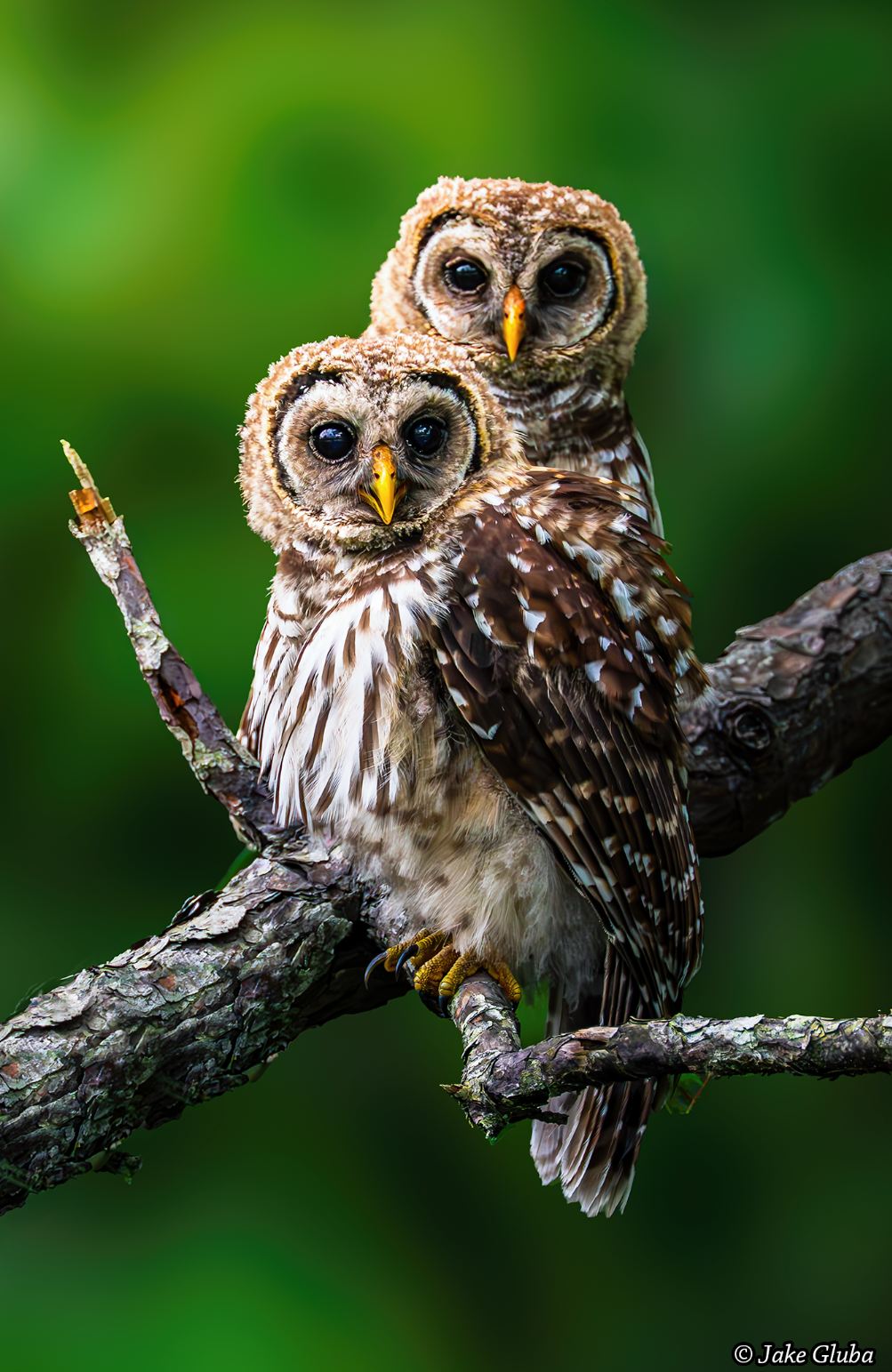 Eyes On You