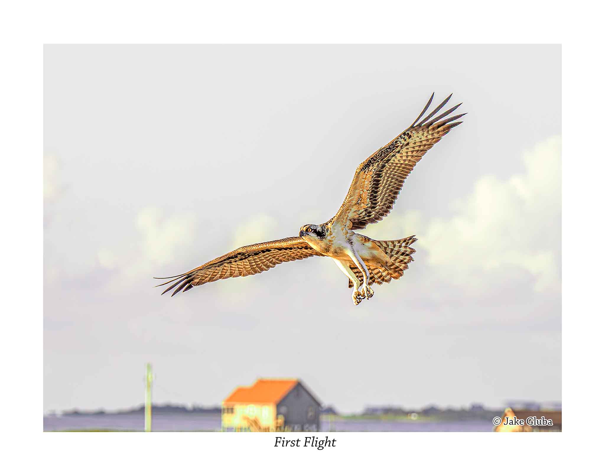 First Flight