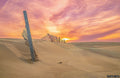Golden Dunes