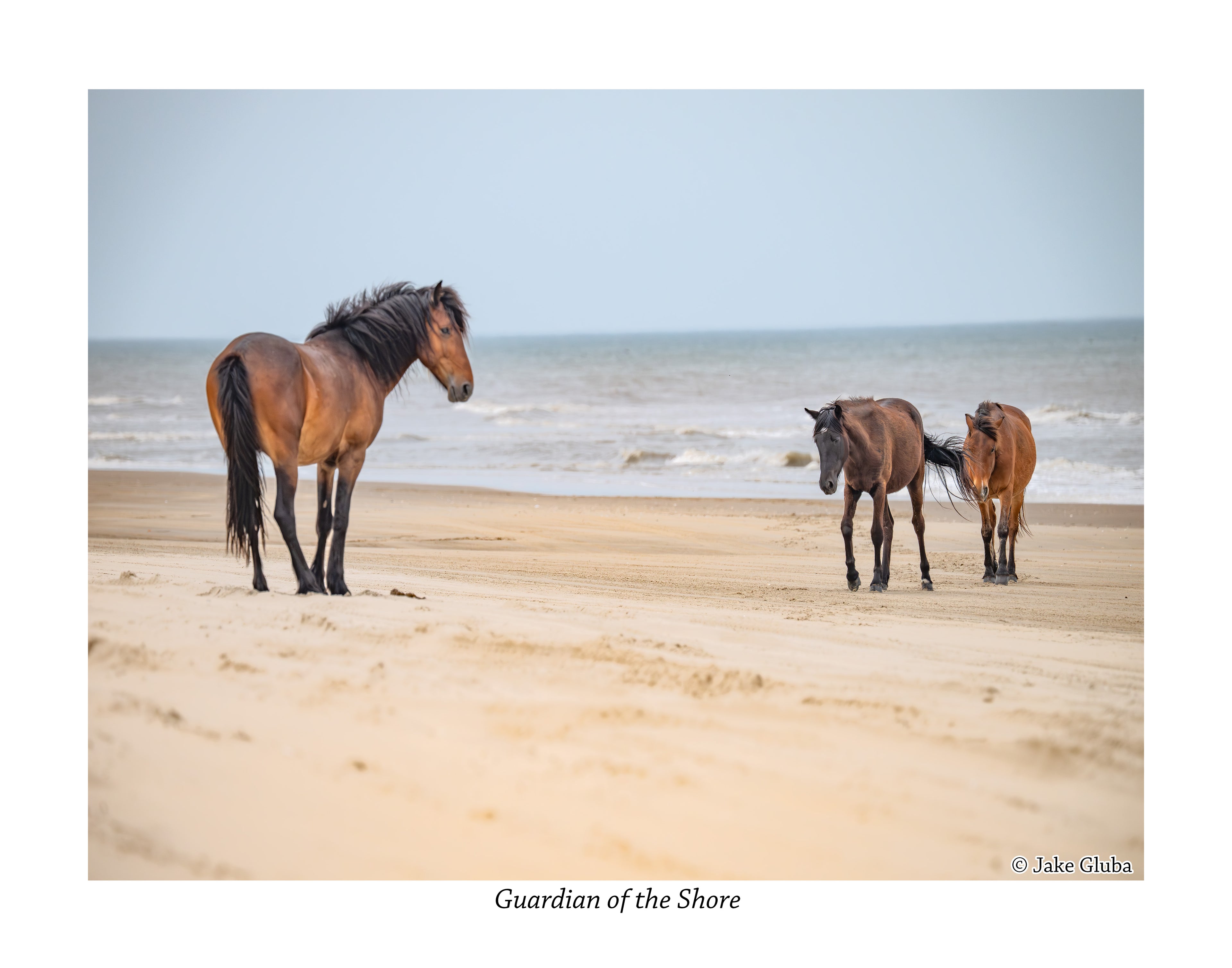 Guardian of the Shore