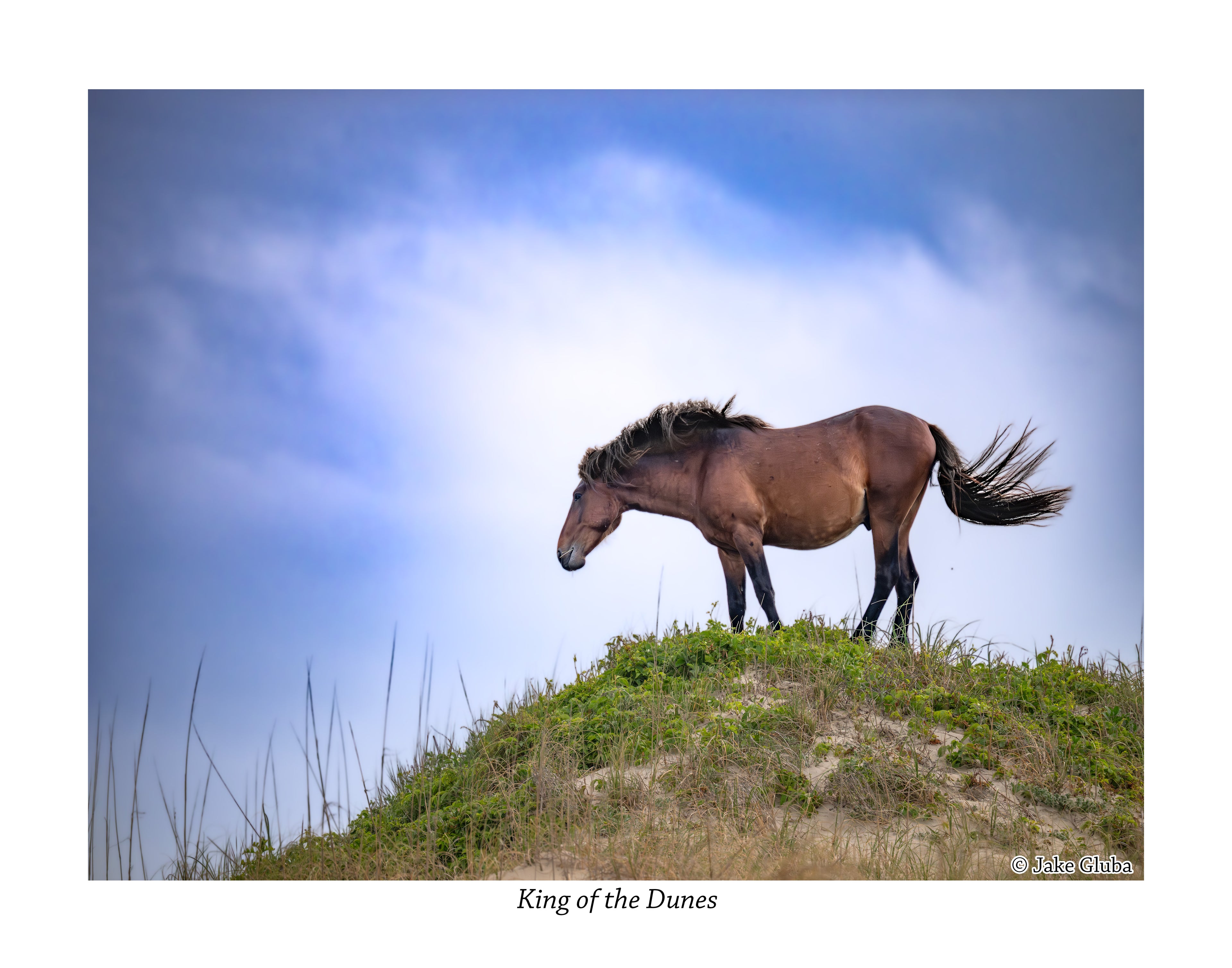 King of the Dunes