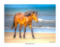 Mane Attraction