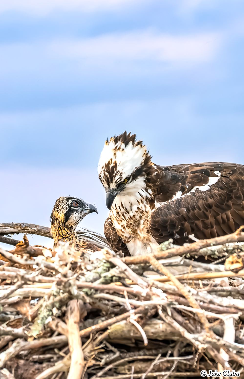 Mom With Baby