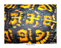 Nature's Mosaic