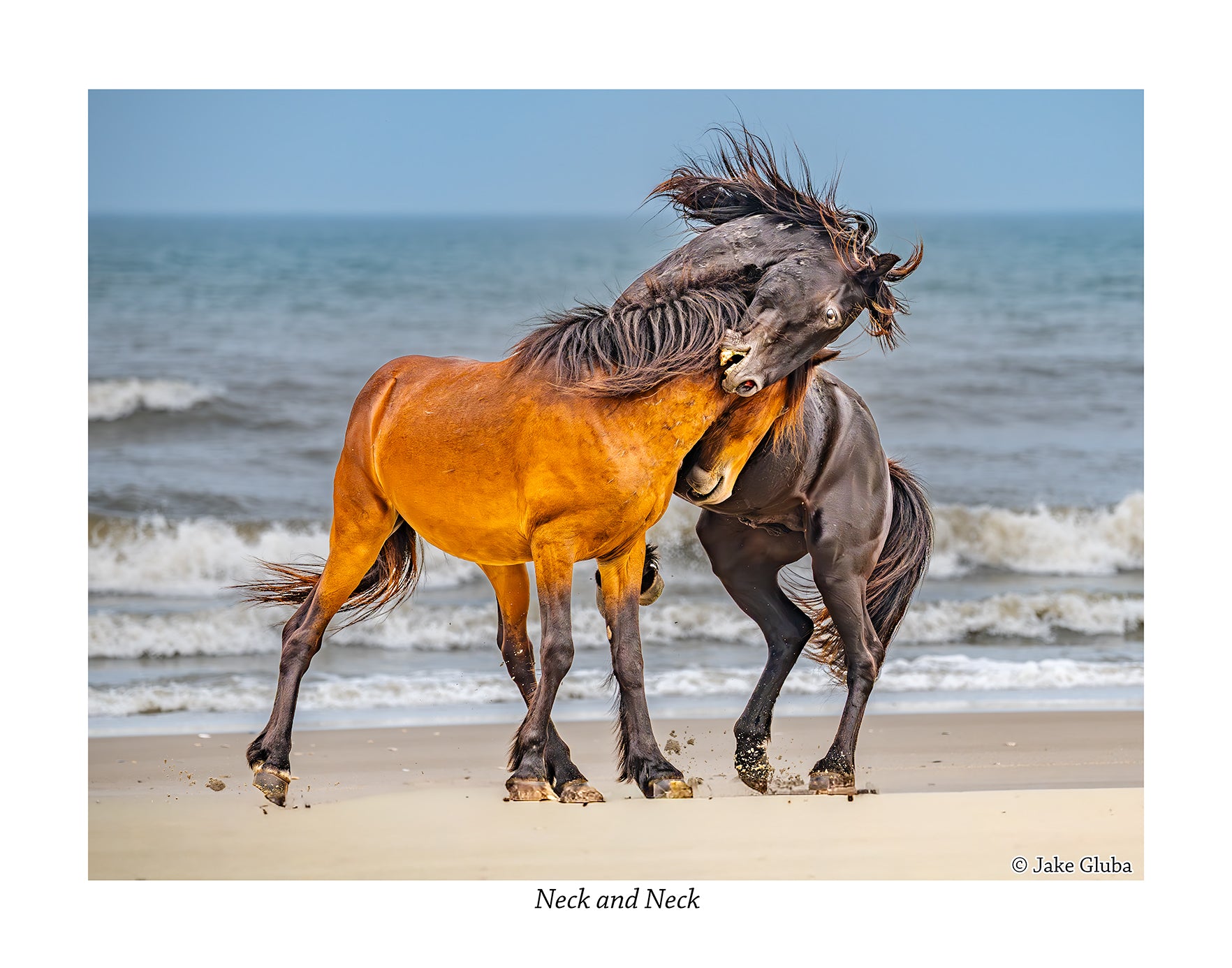 Neck & Neck