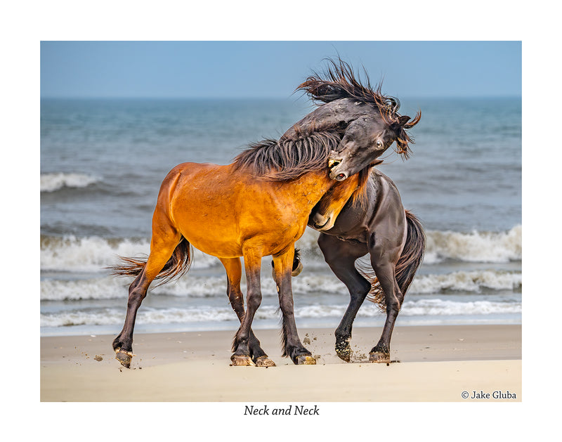 Neck & Neck