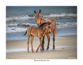 Nurtured by the Sea