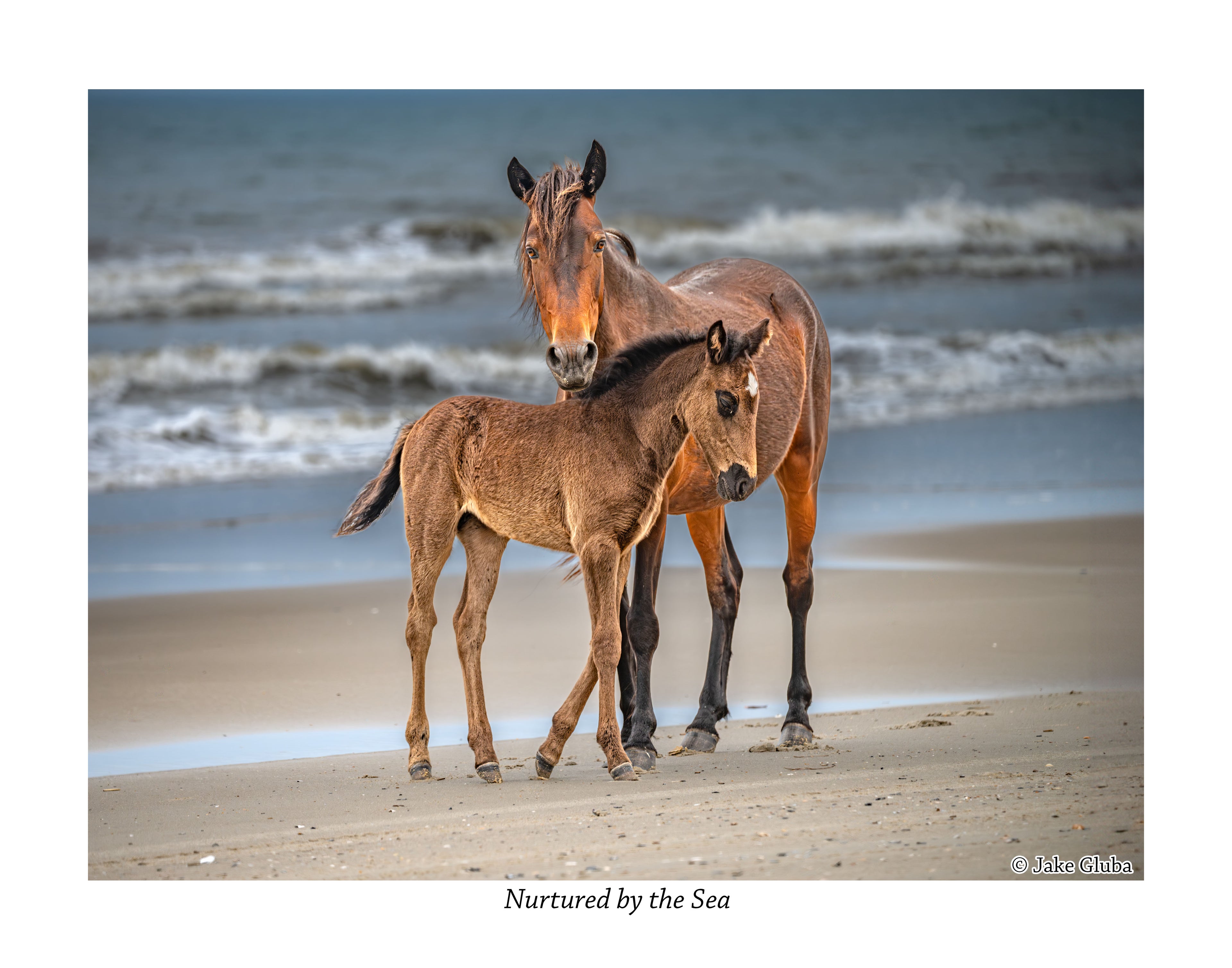 Nurtured by the Sea