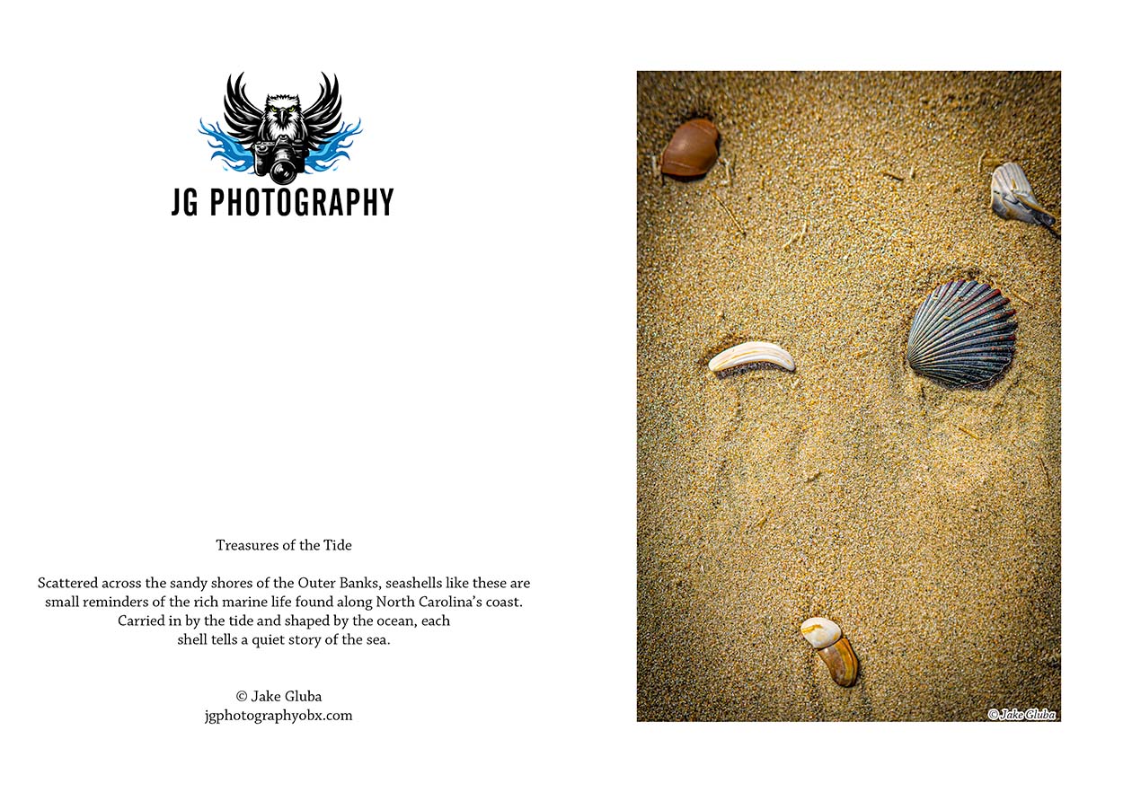 Shells