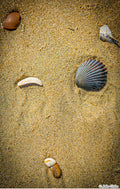 Shells