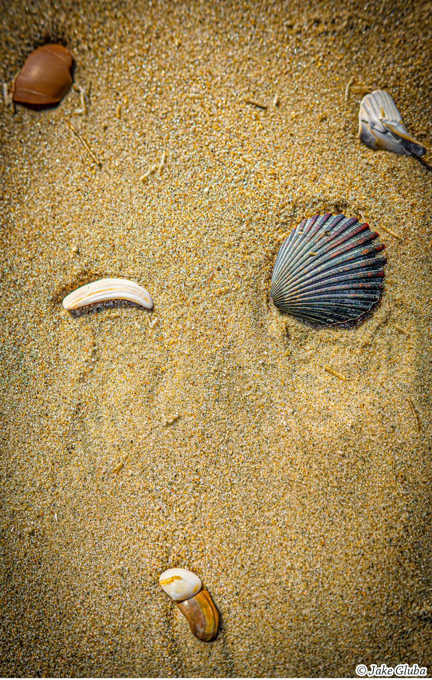 Shells
