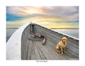 The First Mate (Award Winning Photo in Wildlife in North Carolina Magazine)