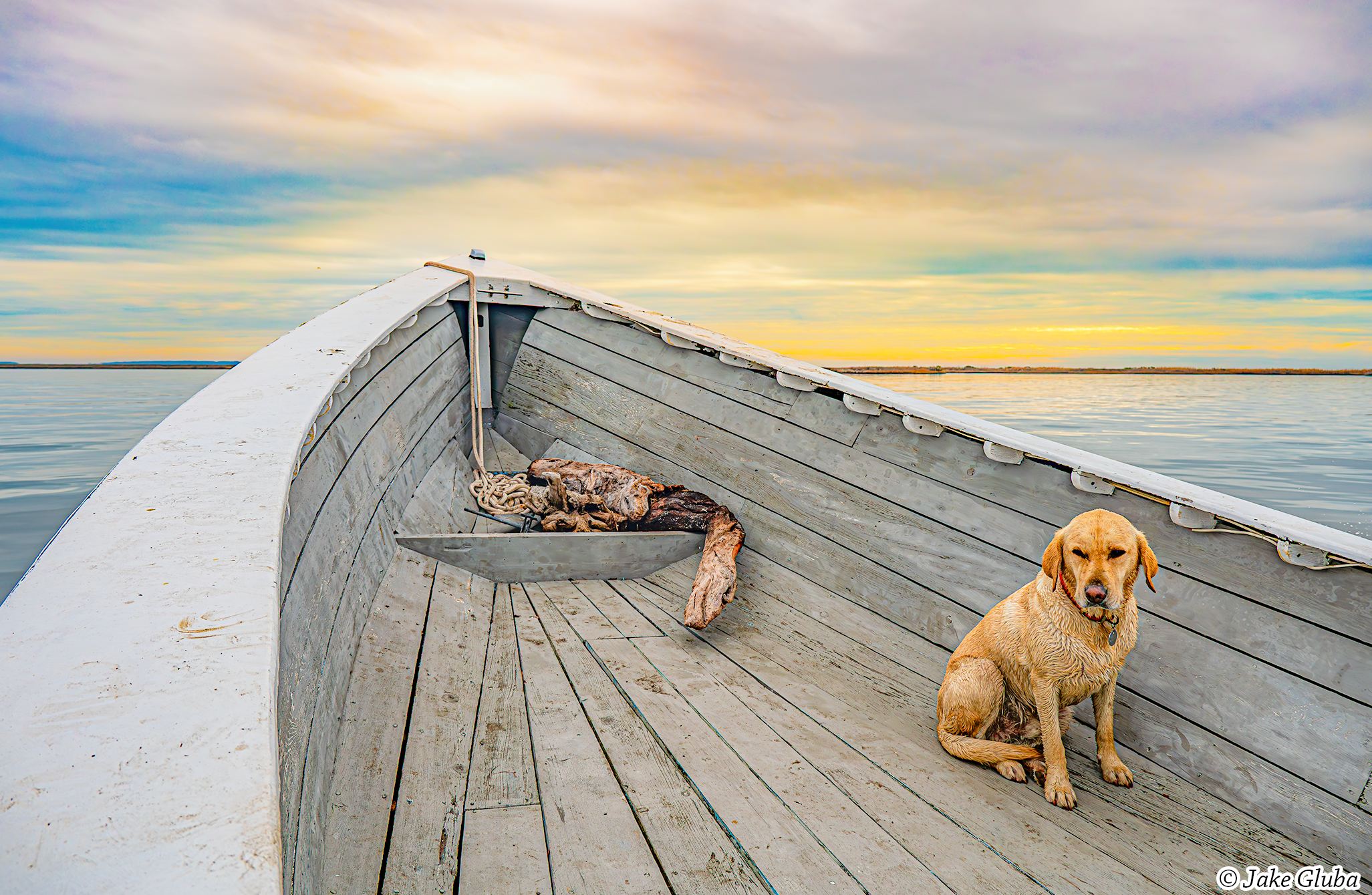 The First Mate (Award Winning Photo)