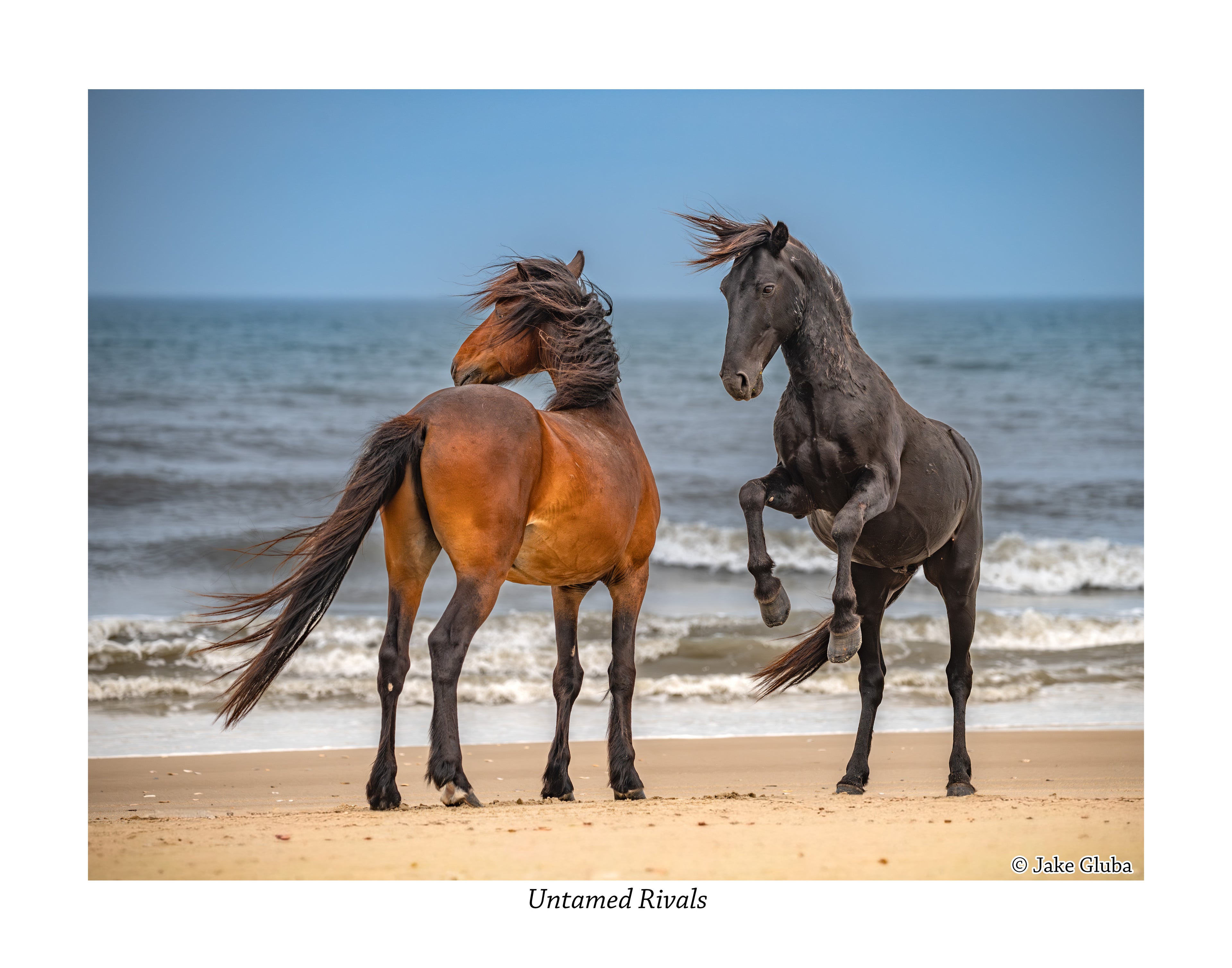 Untamed Rivals