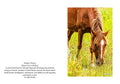 Horse V 1